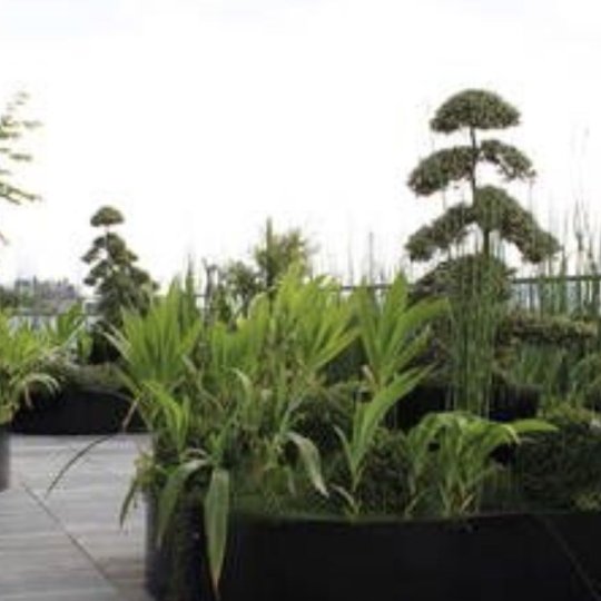  Annonces CROIXROUSSE : Apartment | TASSIN-LA-DEMI-LUNE (69160) | 85 m2 | 542 000 &euro; 