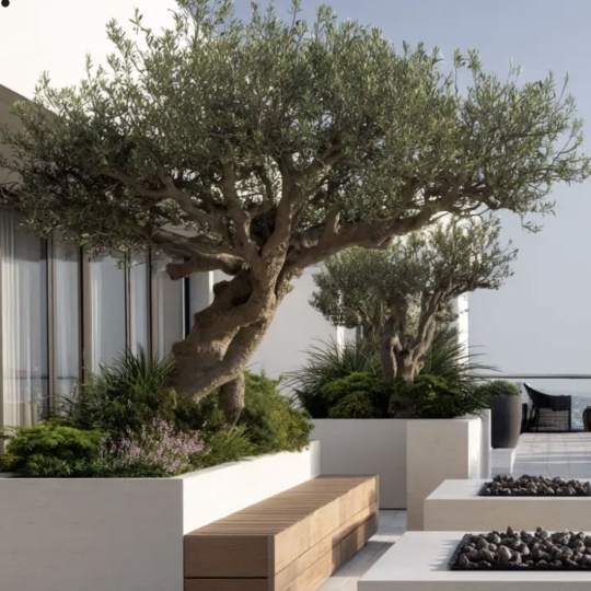 Annonces CROIXROUSSE : Apartment | TASSIN-LA-DEMI-LUNE (69160) | 130.00m2 | 815 000 € 