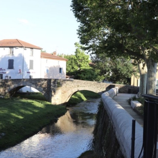 Annonces CROIXROUSSE : Appartement | BRIGNAIS (69530) | 107 m2 | 474 100 &euro; 