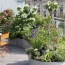  Annonces CROIXROUSSE : Appartement | LYON (69003) | 48 m2 | 205 000 &euro; 