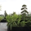  Annonces CROIXROUSSE : Apartment | TASSIN-LA-DEMI-LUNE (69160) | 85 m2 | 542 000 &euro; 