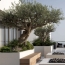  Annonces CROIXROUSSE : Apartment | TASSIN-LA-DEMI-LUNE (69160) | 130 m2 | 815 000 &euro; 