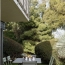  Annonces CROIXROUSSE : Appartement | CALUIRE-ET-CUIRE (69300) | 93 m2 | 516 850 &euro; 