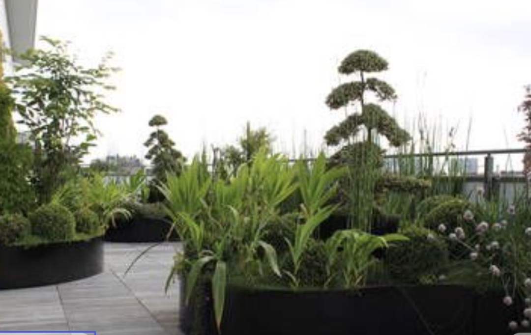 Annonces CROIXROUSSE : Apartment | TASSIN-LA-DEMI-LUNE (69160) | 85 m2 | 542 000 &euro; 