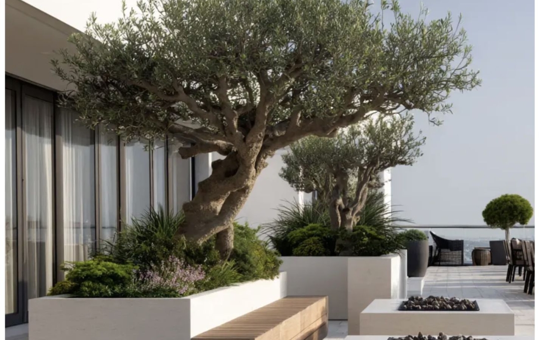 Annonces CROIXROUSSE : Apartment | TASSIN-LA-DEMI-LUNE (69160) | 130 m2 | 815 000 &euro; 